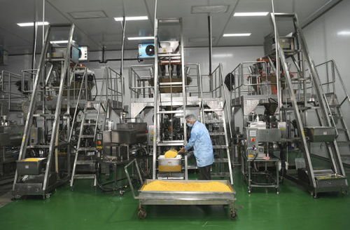 圖片新聞丨重慶永川乳制品產業(yè)發(fā)展見成效